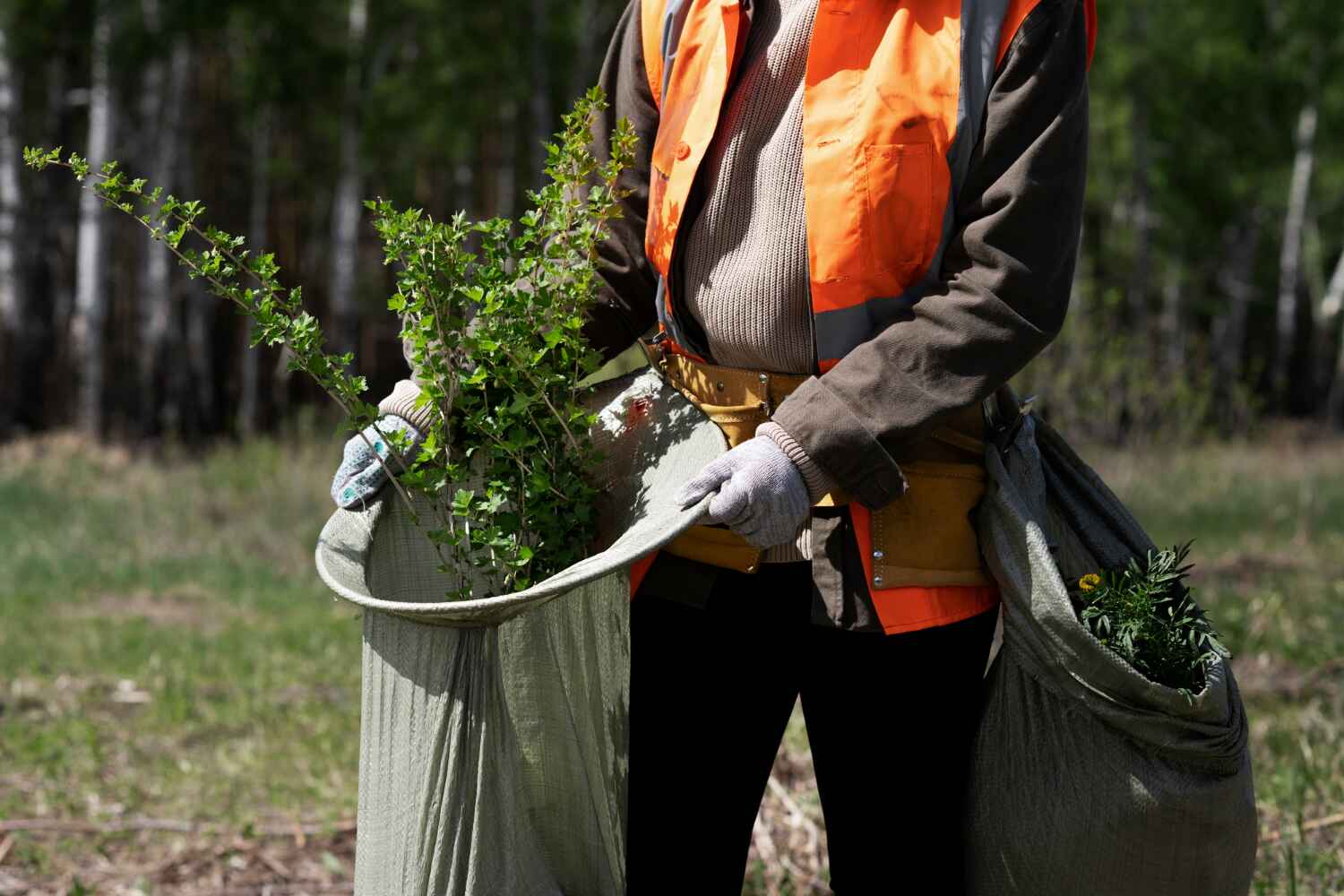 Best Large Tree Removal  in Fort Leonard Wood, MO